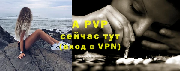 гидра Алексеевка