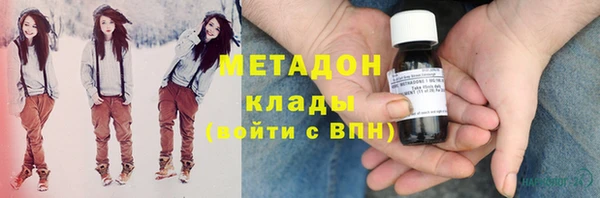 стаф Алзамай