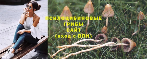 гидра Алексеевка