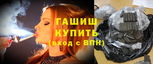 стаф Алзамай
