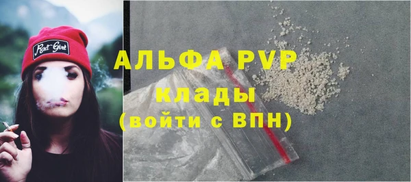 стаф Алзамай