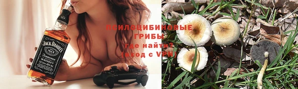 гидра Алексеевка