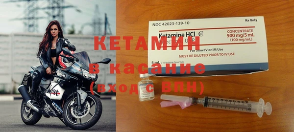 стаф Алзамай