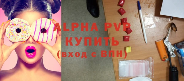 стаф Алзамай