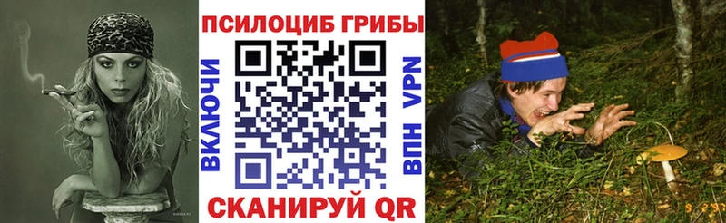 Псилоцибиновые грибы мицелий  закладки  Калтан 